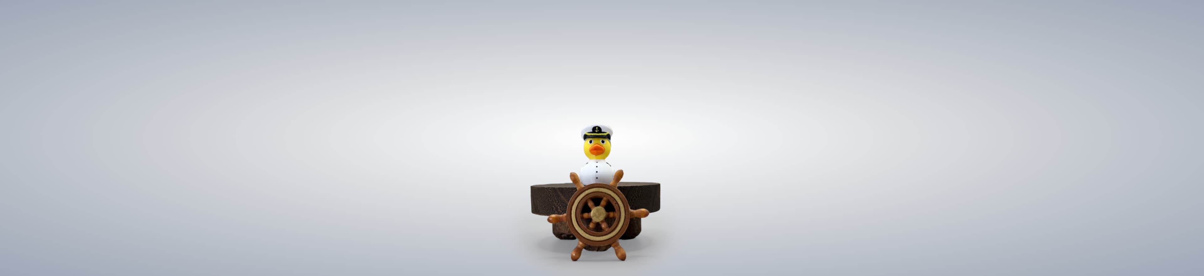 Captain Duck