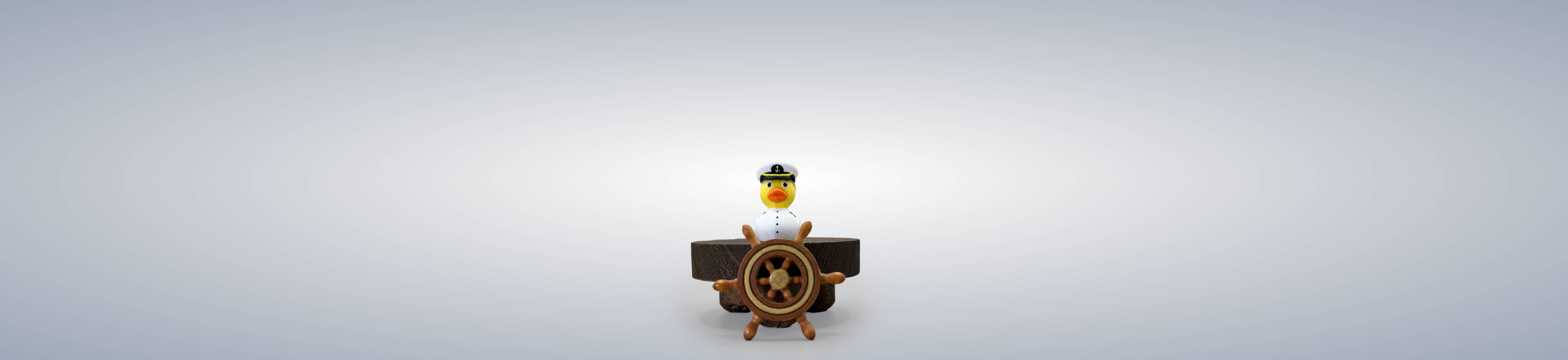 Captain Duck
